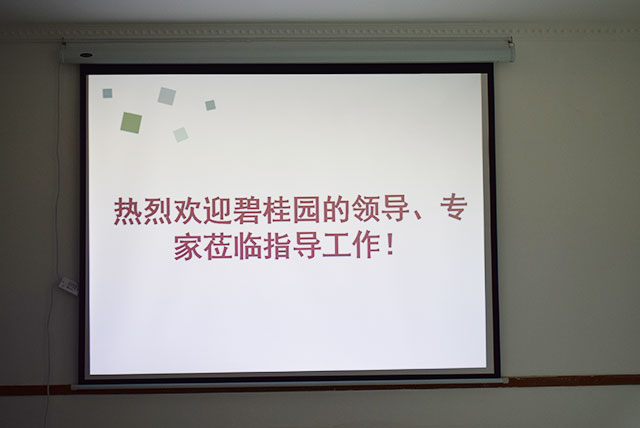 碧桂園領(lǐng)導(dǎo)、專(zhuān)家蒞臨德國(guó)CUALI磚麗指導(dǎo)工作